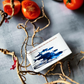 Organic Sardine in Tomato